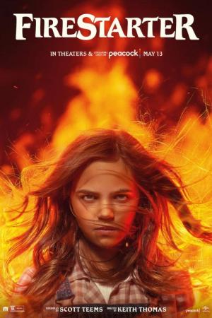 Llamas De Venganza (2022) poster